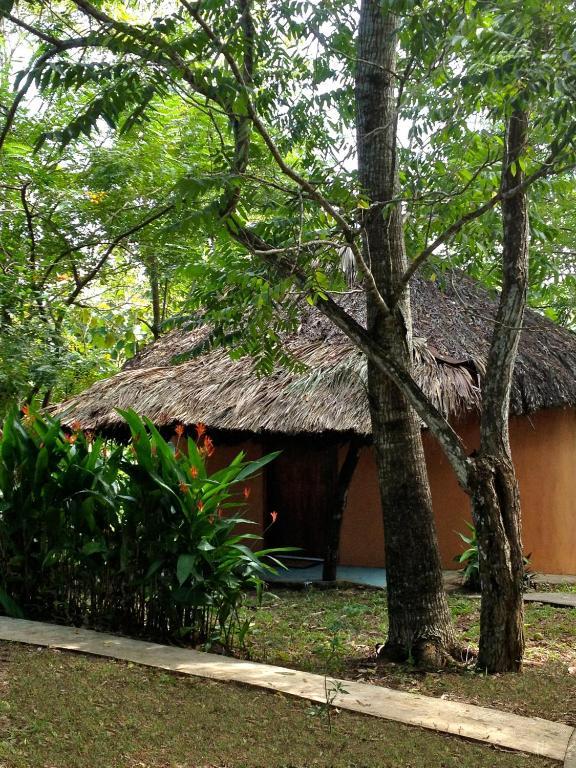 El Colombre Villa Palenque Ngoại thất bức ảnh