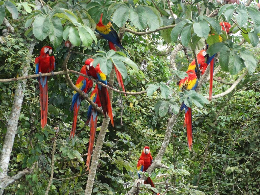 El Colombre Villa Palenque Ngoại thất bức ảnh